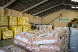 pellet biomasa (3)